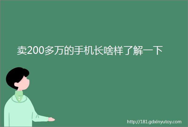 卖200多万的手机长啥样了解一下